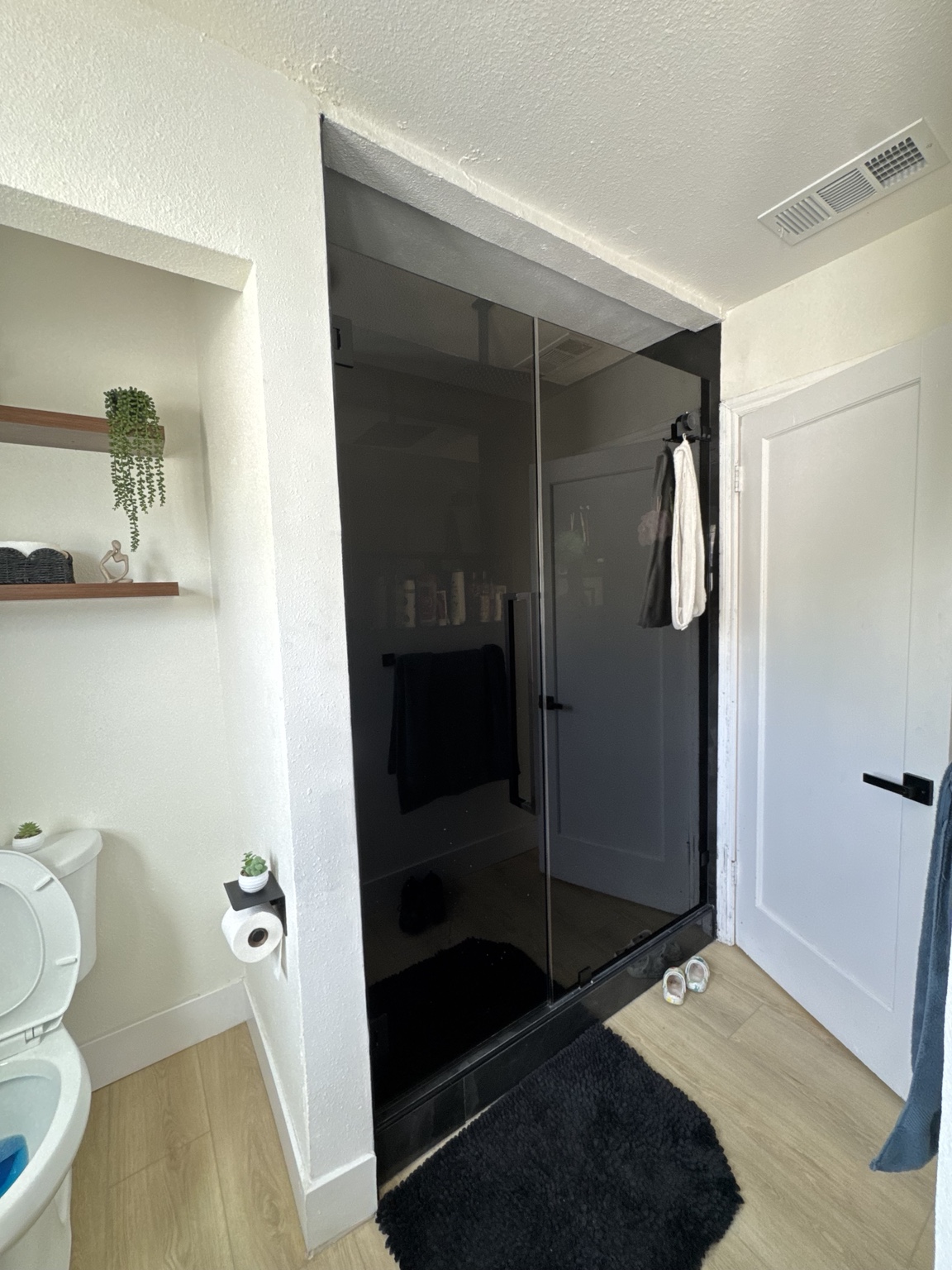 Dark tinted glass shower doors